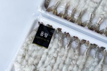 노바시새우 20미